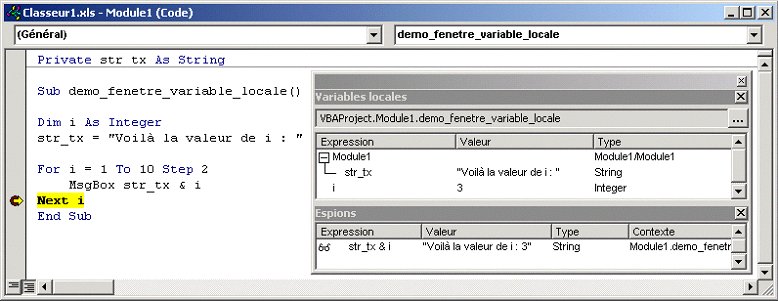 vbe variables locales
